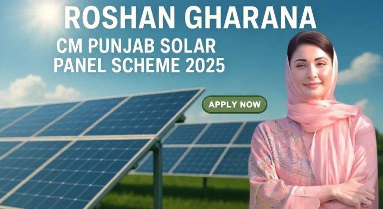 CM Free Solar Panel Scheme 2025