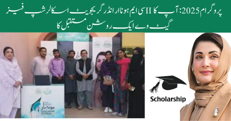 CM Honhaar Undergraduate Scholarship Phase II program 2025