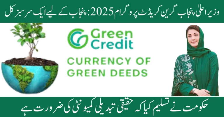 CM Punjab Green Credit Program 2025