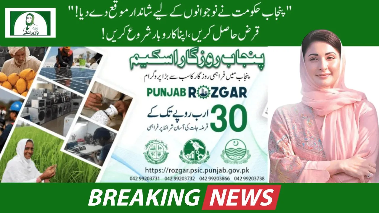 CM Punjab Rozgar Scheme 2025 online apply registration step by step guide