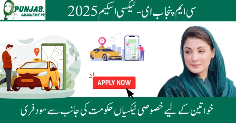 CM Punjab Green E-Taxi Scheme 2025