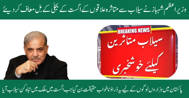 PM Shehbaz Waives August Power Bills for Flood-Hit Areas