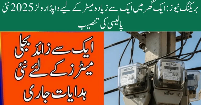 WAPDA Rules 2025 for multiple meters