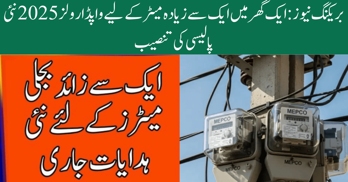 WAPDA Rules 2025 for multiple meters