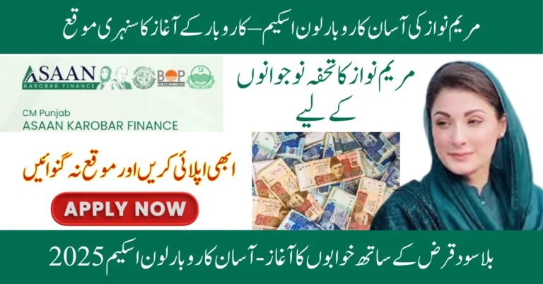 CM Punjab Asaan Karobar Scheme