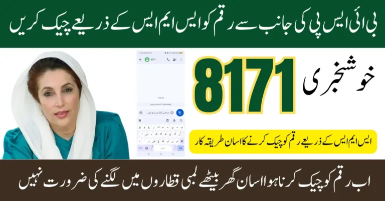 bisp 8171 payment status