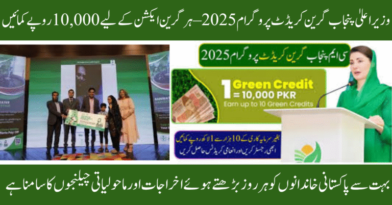 CM Punjab Green Credit Program 2025