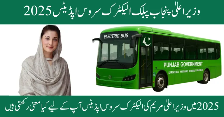 CM Punjab Public electric Service Updates 2025