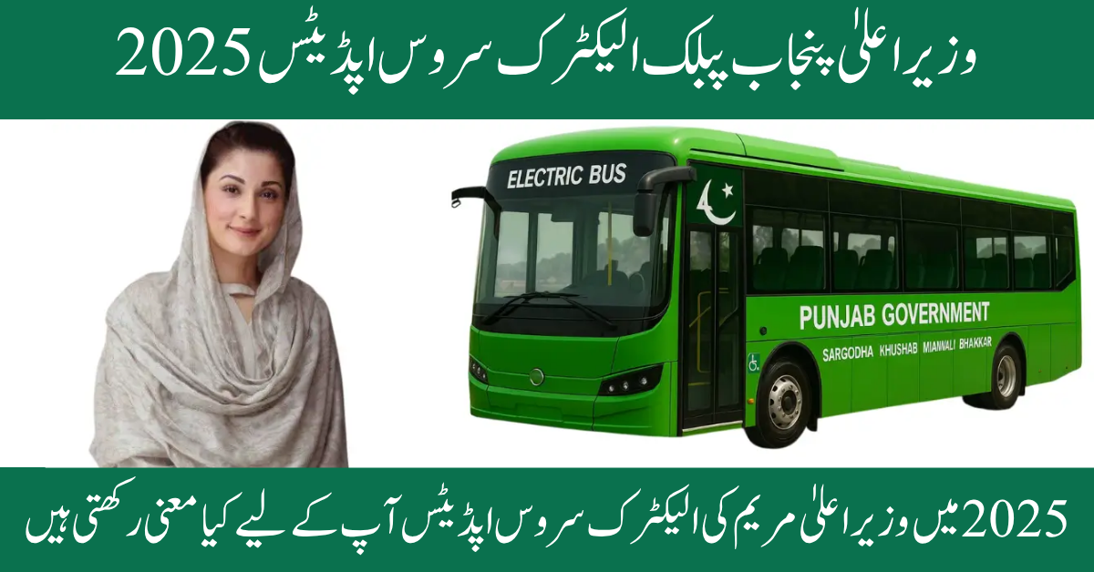 CM Punjab Public electric Service Updates 2025