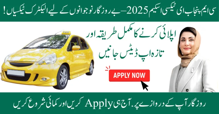 CM Punjab E-Taxi Scheme 2025
