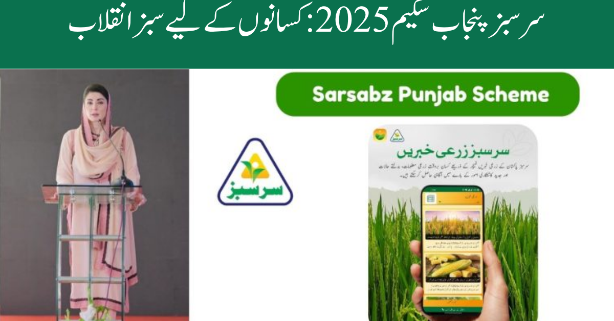 Sarsabz Punjab Scheme 2025