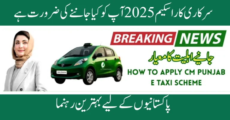 government car scheme 2025